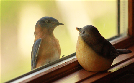 Photo-contest-1